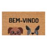 bem vindo cachorros