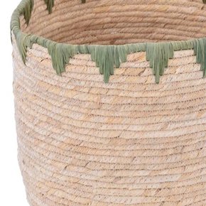 cesto chuong verde 2